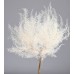 MOUNTAIN FERN SMALL 12" x 13" BLEACHED